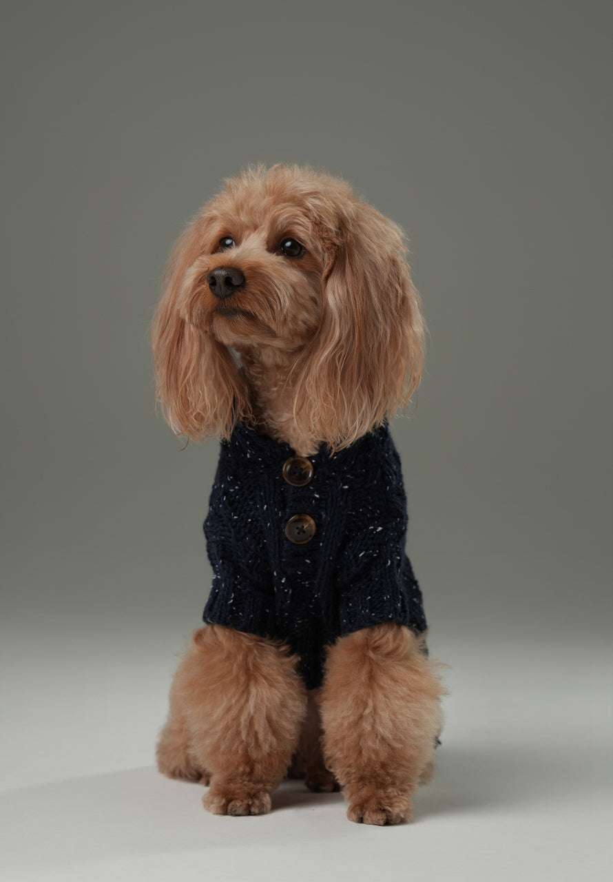 GLACIER Pet Sweater – Navy | Warm High-Neck Knit Dog Sweater with Vintage Buttons