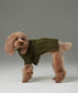 GLACIER Pet Sweater – Olive Green | Warm High-Neck Knit Dog Sweater with Vintage Buttons