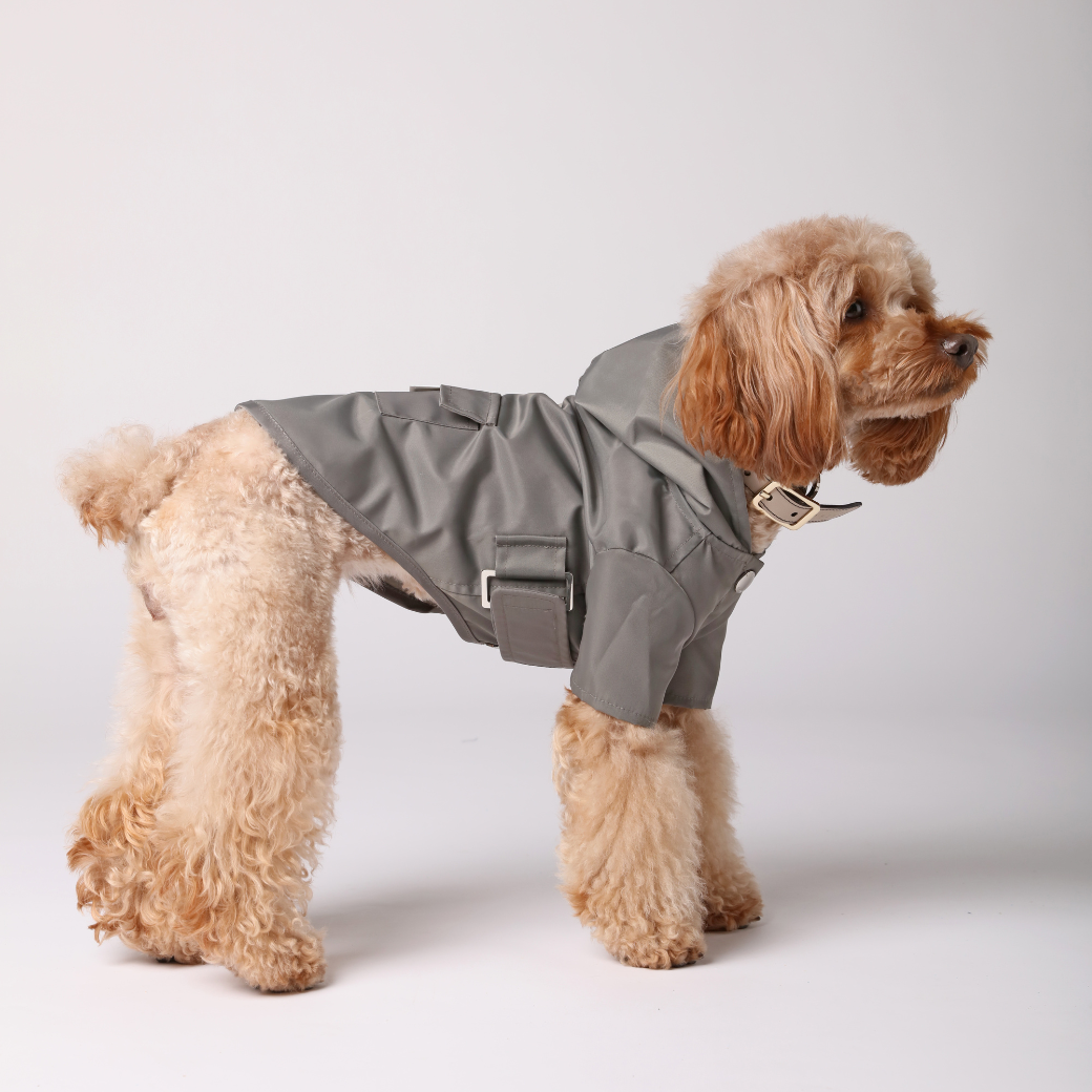 Bowery Raincoat - Gray | Water-Repellent Dog Rain Jacket with Adjustable Fit