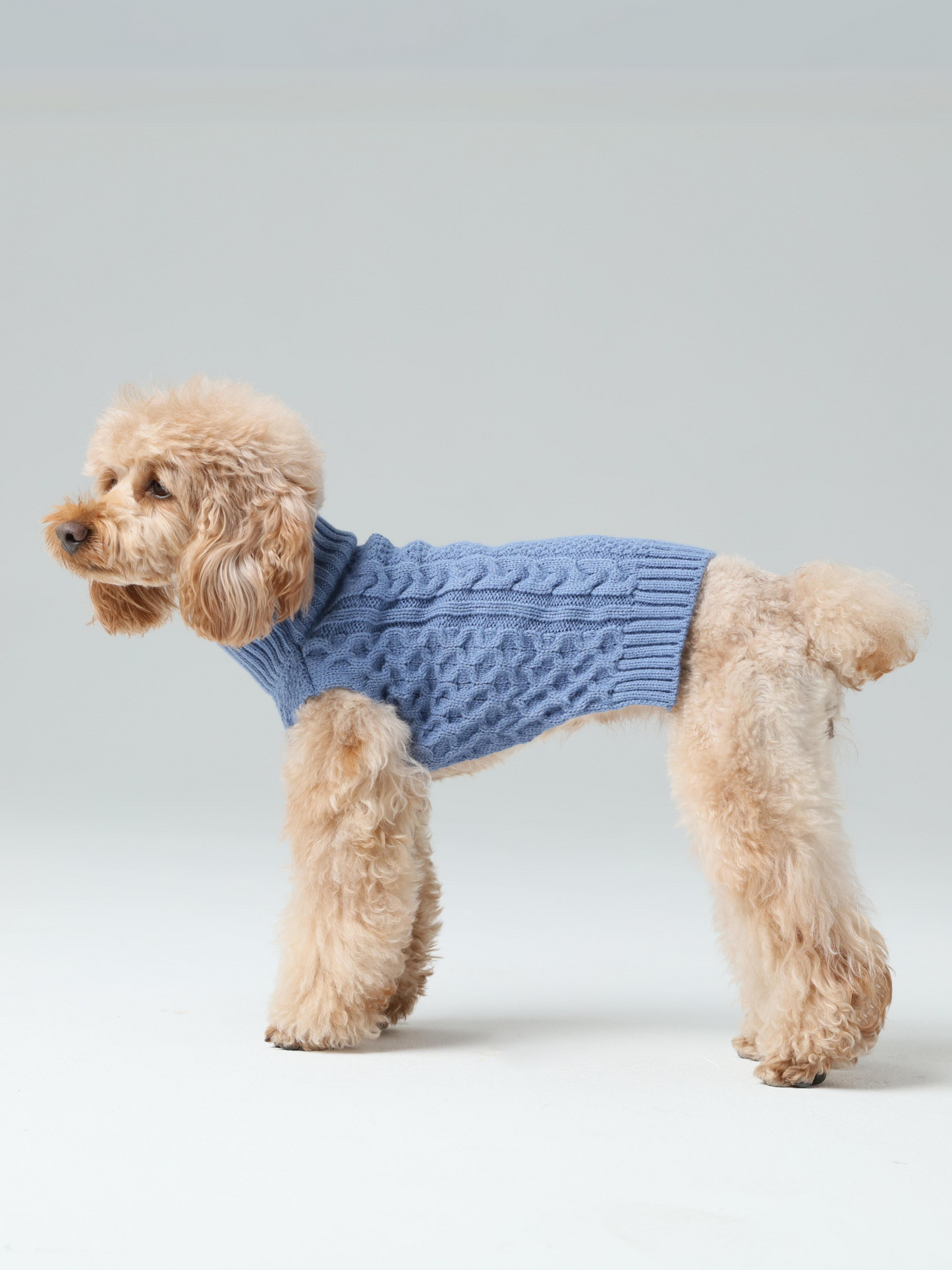 Pet Sweater Vest – Ice Blue | Cozy Knit Warmth with Breathable Comfort