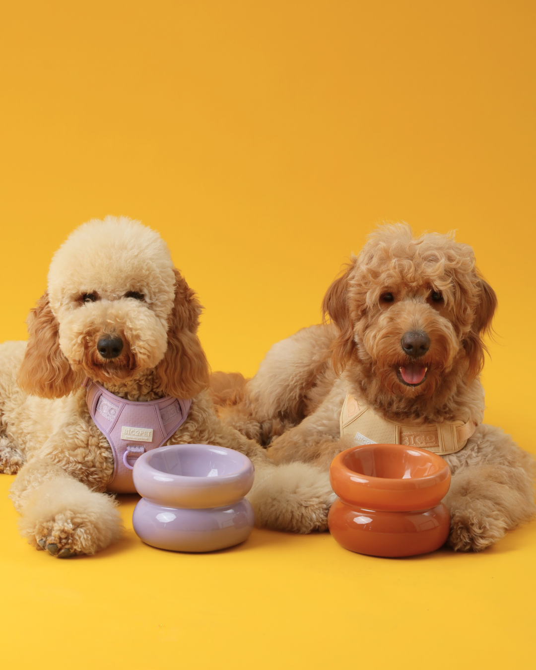 Soufflé Pet Bowl – Purple | Elevated Ergonomic Bowl for Cats & Small Dogs