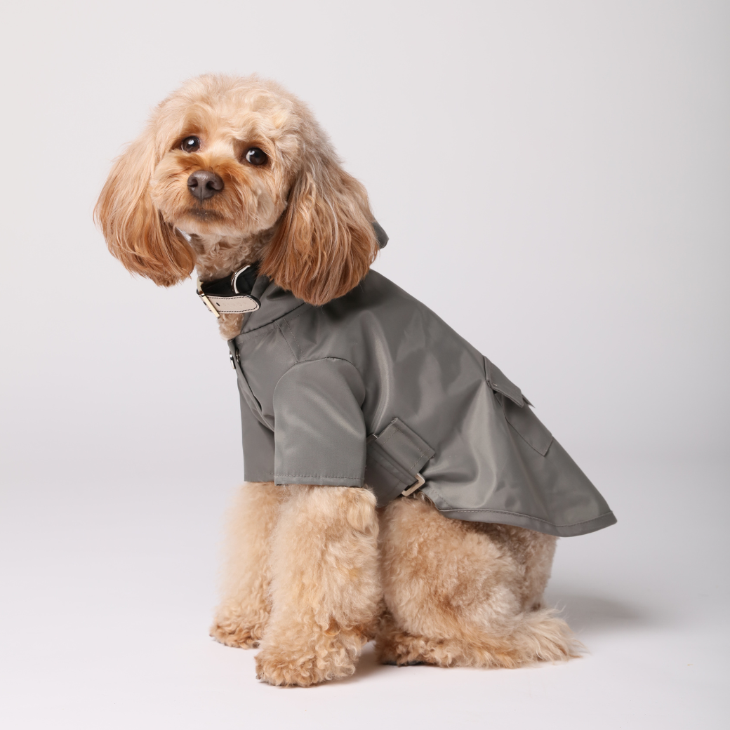 Bowery Raincoat - Gray | Water-Repellent Dog Rain Jacket with Adjustable Fit