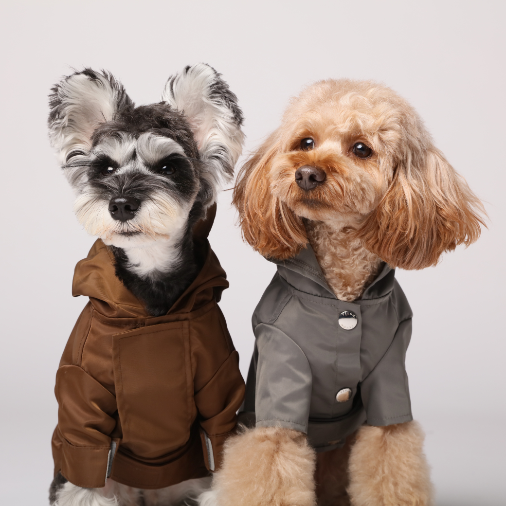 Bowery Raincoat - Gray | Water-Repellent Dog Rain Jacket with Adjustable Fit