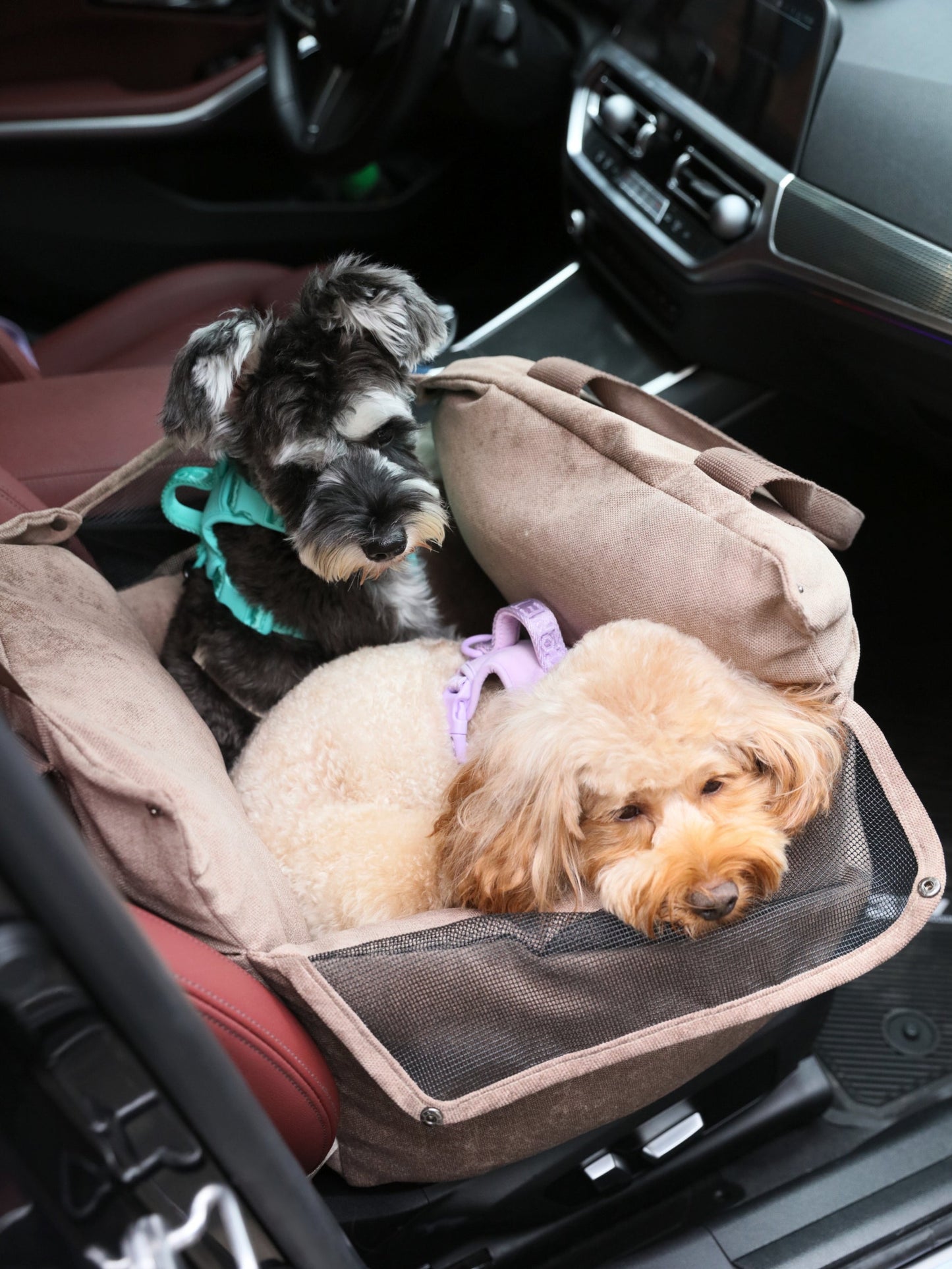 Puff Guard Dog Car Seat – Camel | Water-Repellent, Secure Travel Seat for Small & Medium Dogs