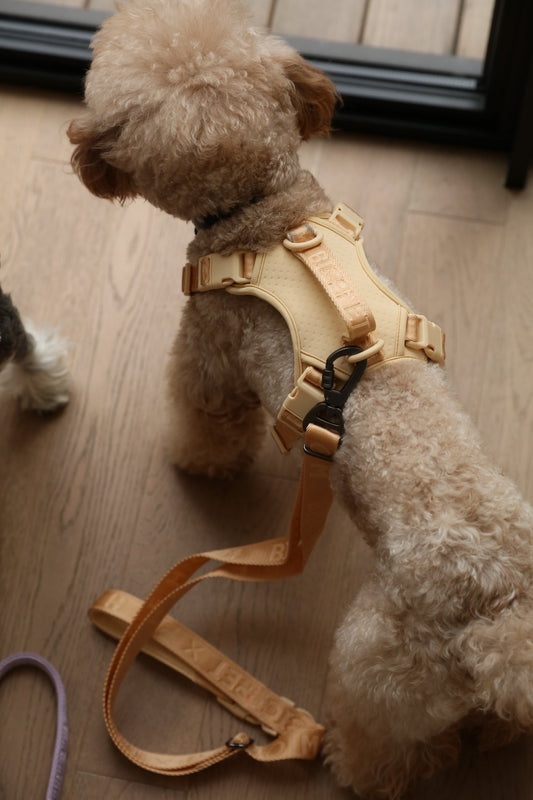 No Pull Active Pet Harness – Apricot | Adjustable, Breathable & Secure Control Harness