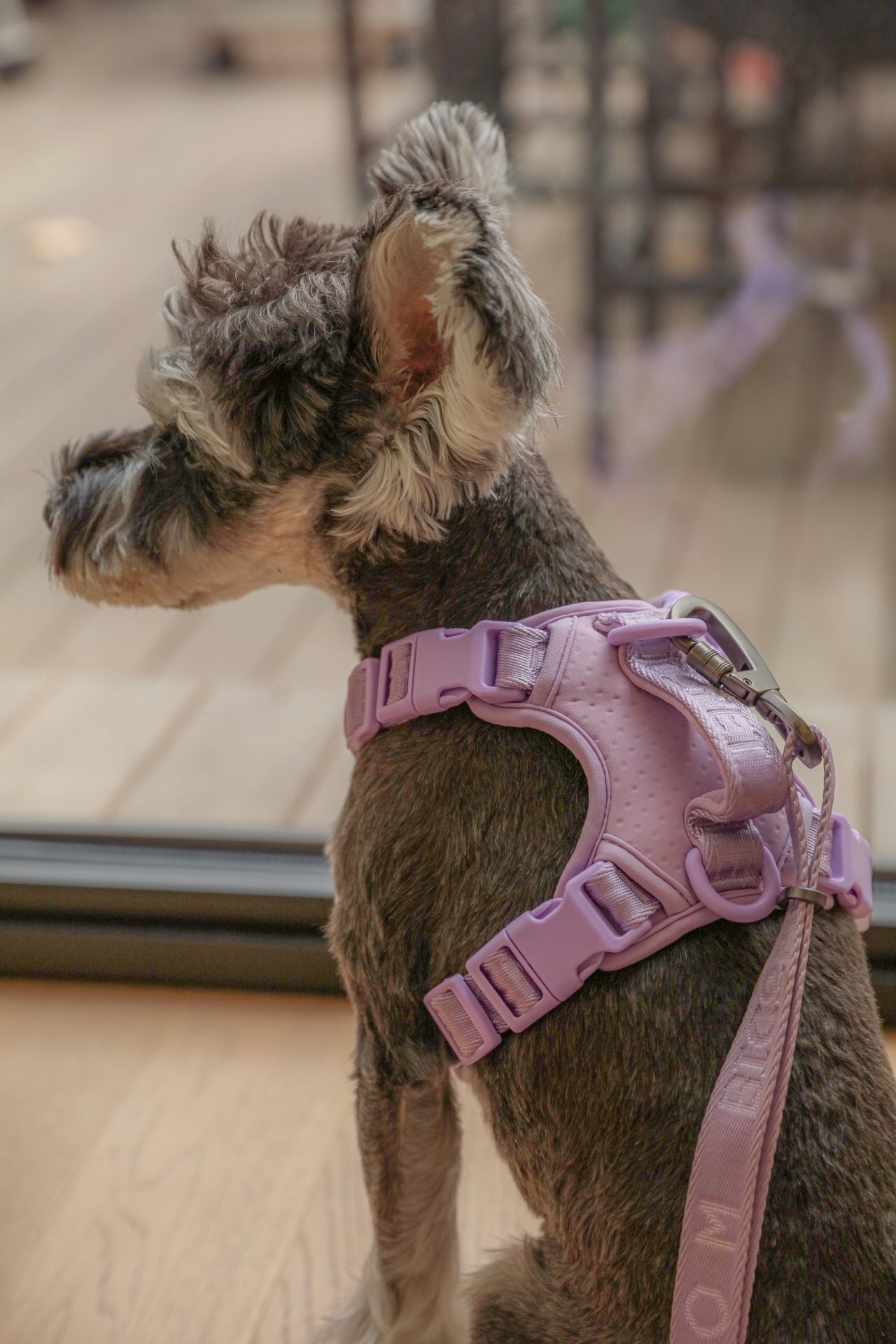 No Pull Active Pet Harness - Mint Purple | Breathable, Adjustable & Secure Control