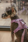 No Pull Active Pet Harness - Mint Purple | Breathable, Adjustable & Secure Control