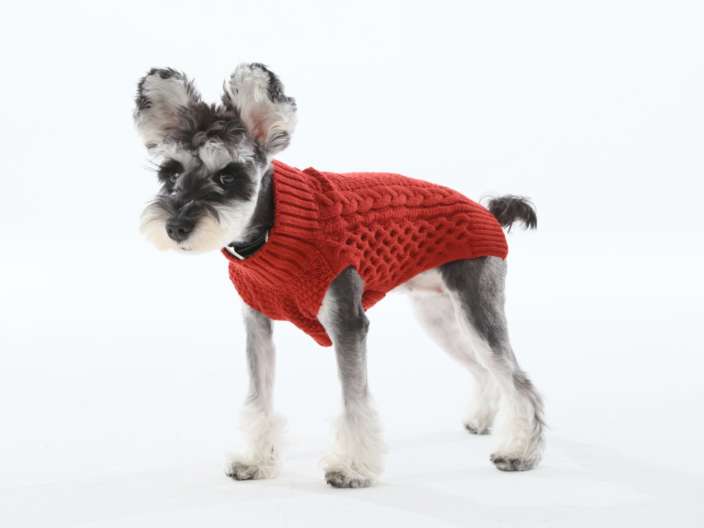 Pet Sweater Vest – Red | Cozy Knit Warmth for Dogs & Cats