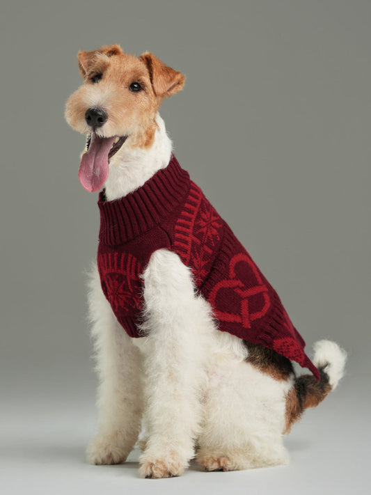 Dog wearing a red sweater with a heart pattern on a gray background