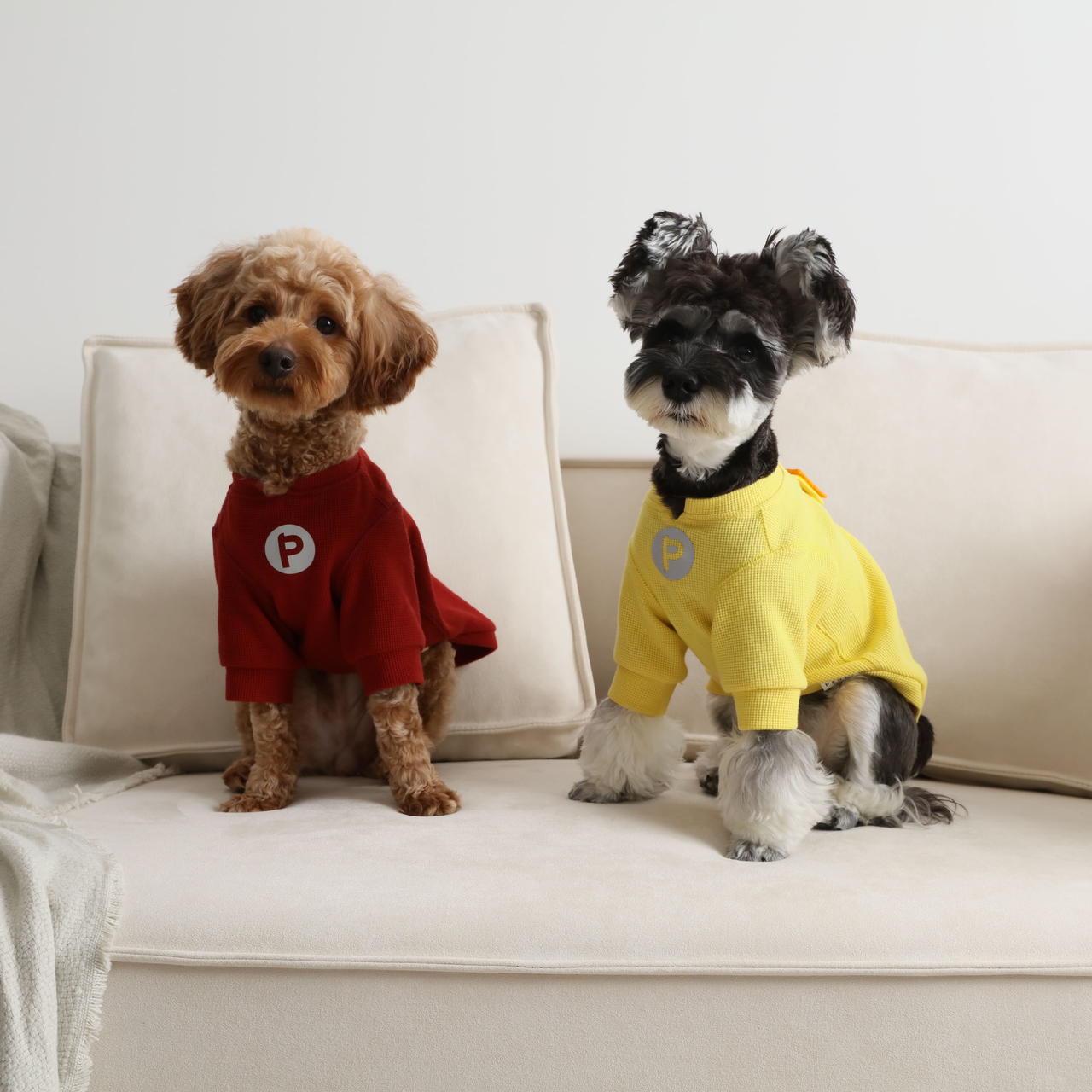 Embroidery Waffle T-Shirt for Dogs - Yellow | Reflective Safety Print, Soft Plaid Texture, Everyday Comfort