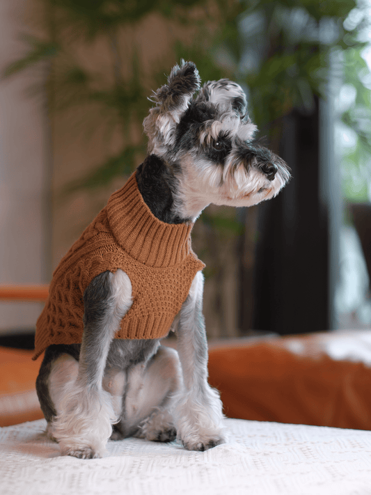 Pet Sweater Vest – Toffee Orange | Cozy Knit Warmth for Dogs & Cats