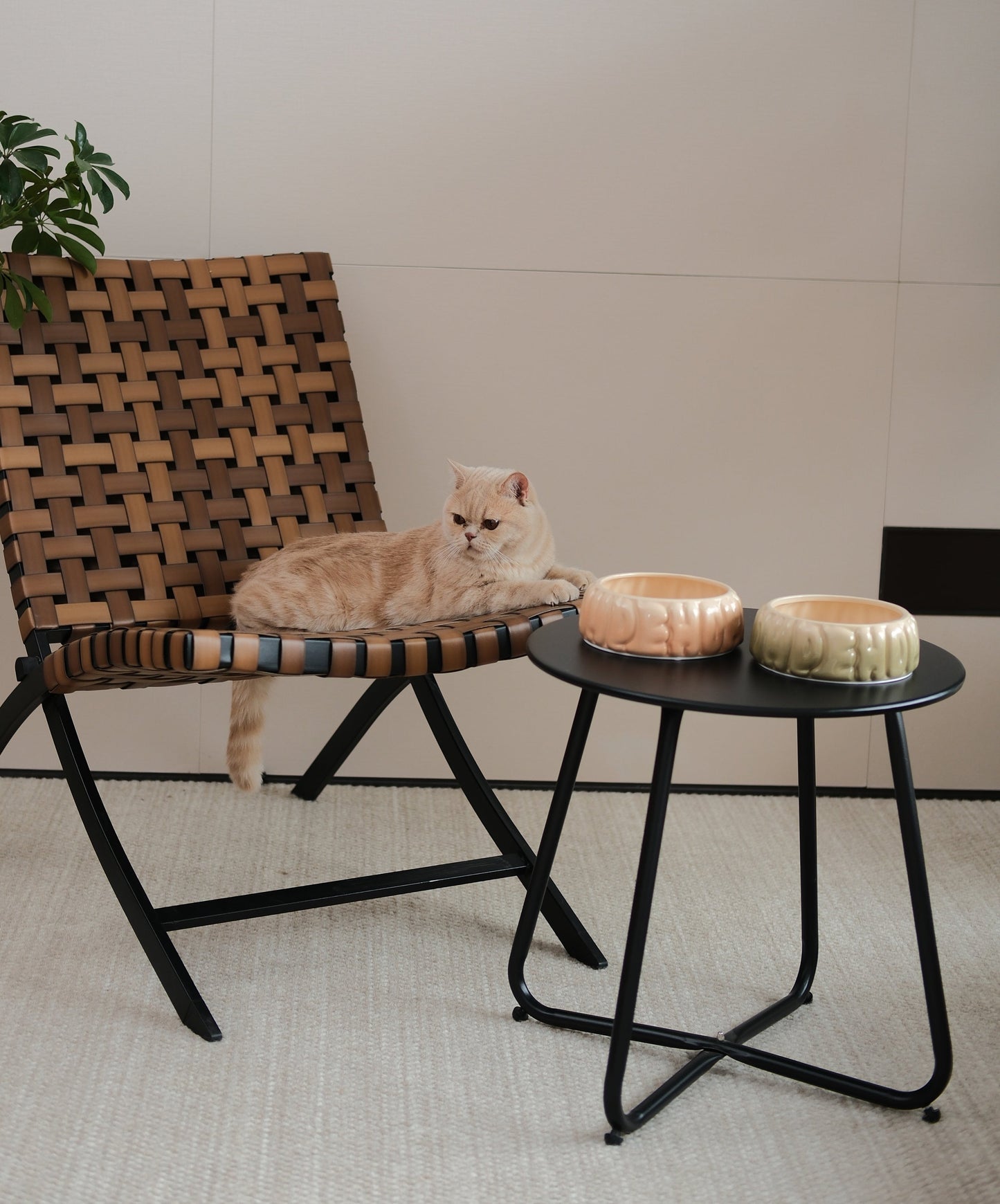 Puff Pet Bowl – Gradient Olive Ceramic Spill-Proof Bowl for Dogs & Cats (Non-Slip, Dishwasher Safe)