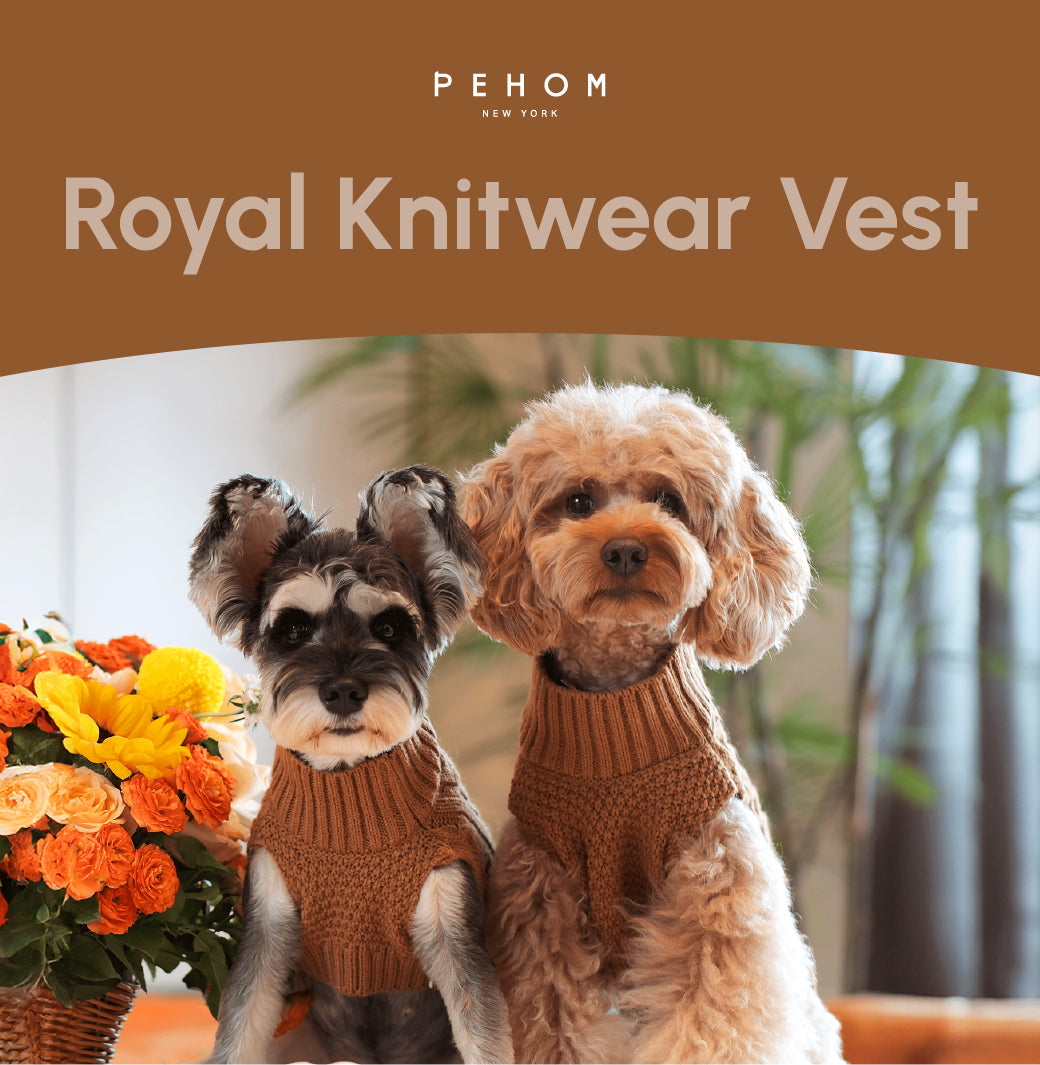 Pet Sweater Vest – Toffee Orange | Cozy Knit Warmth for Dogs & Cats