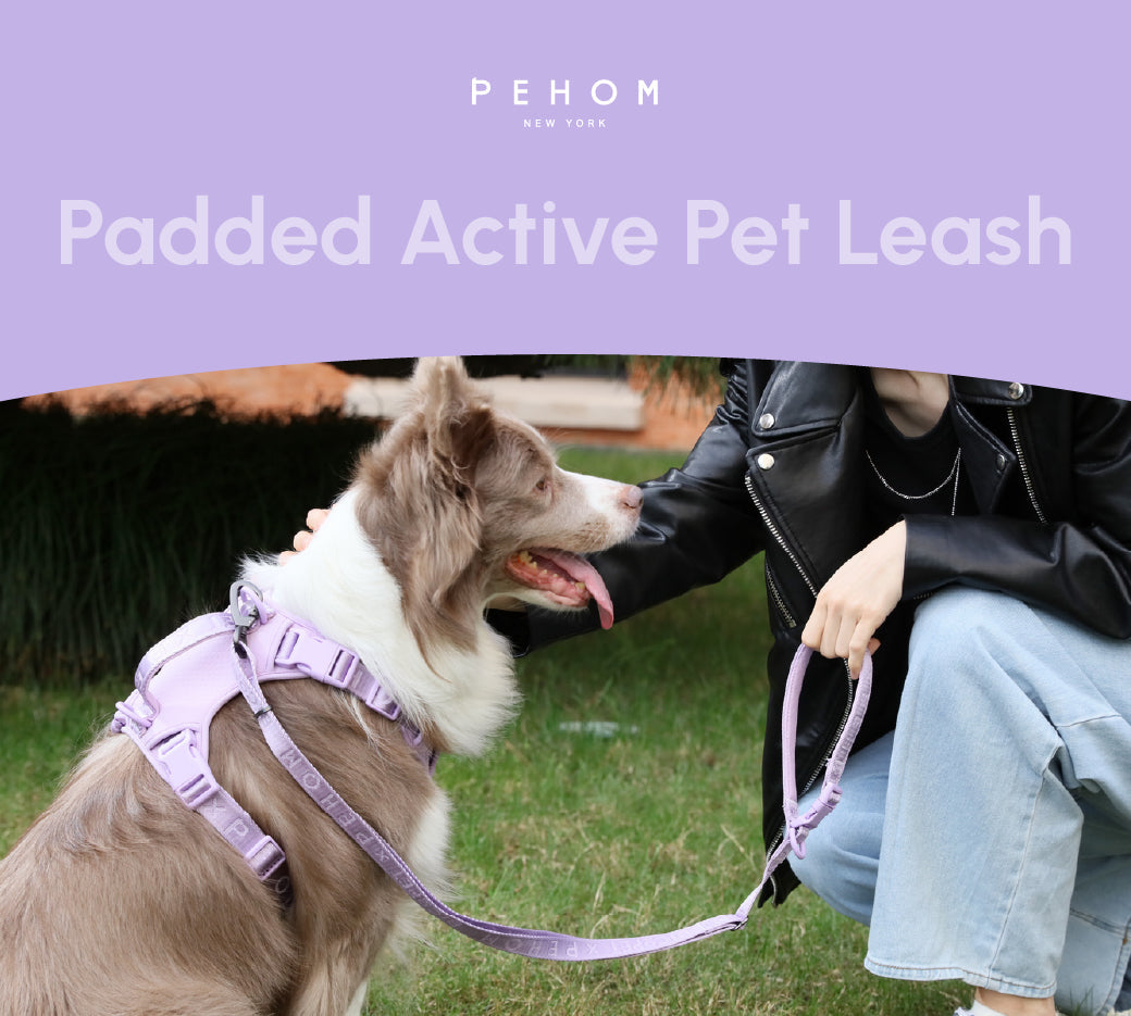 Padded Active Pet Leash – Mint Purple | Durable, Comfortable & Secure Dog Leash