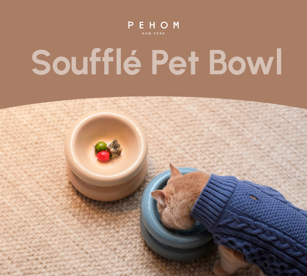 Soufflé Pet Bowl – Cream Beige | Ergonomic Elevated Bowl for Dogs & Cats