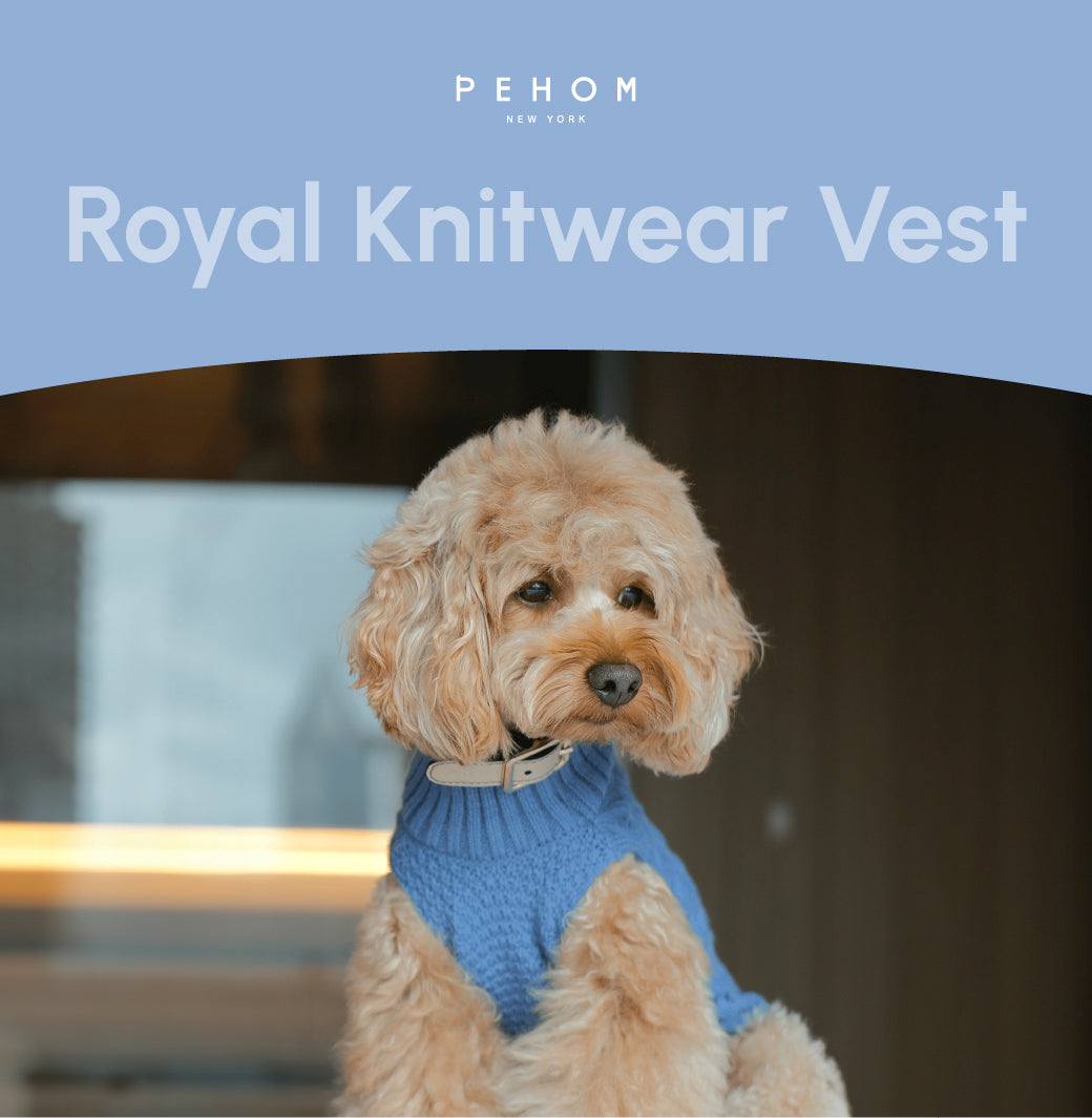 Pet Sweater Vest – Ice Blue | Cozy Knit Warmth with Breathable Comfort