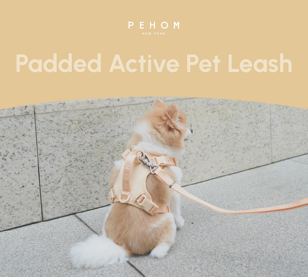 Padded Active Pet Leash – Apricot | Durable, Comfortable & Secure Everyday Leash