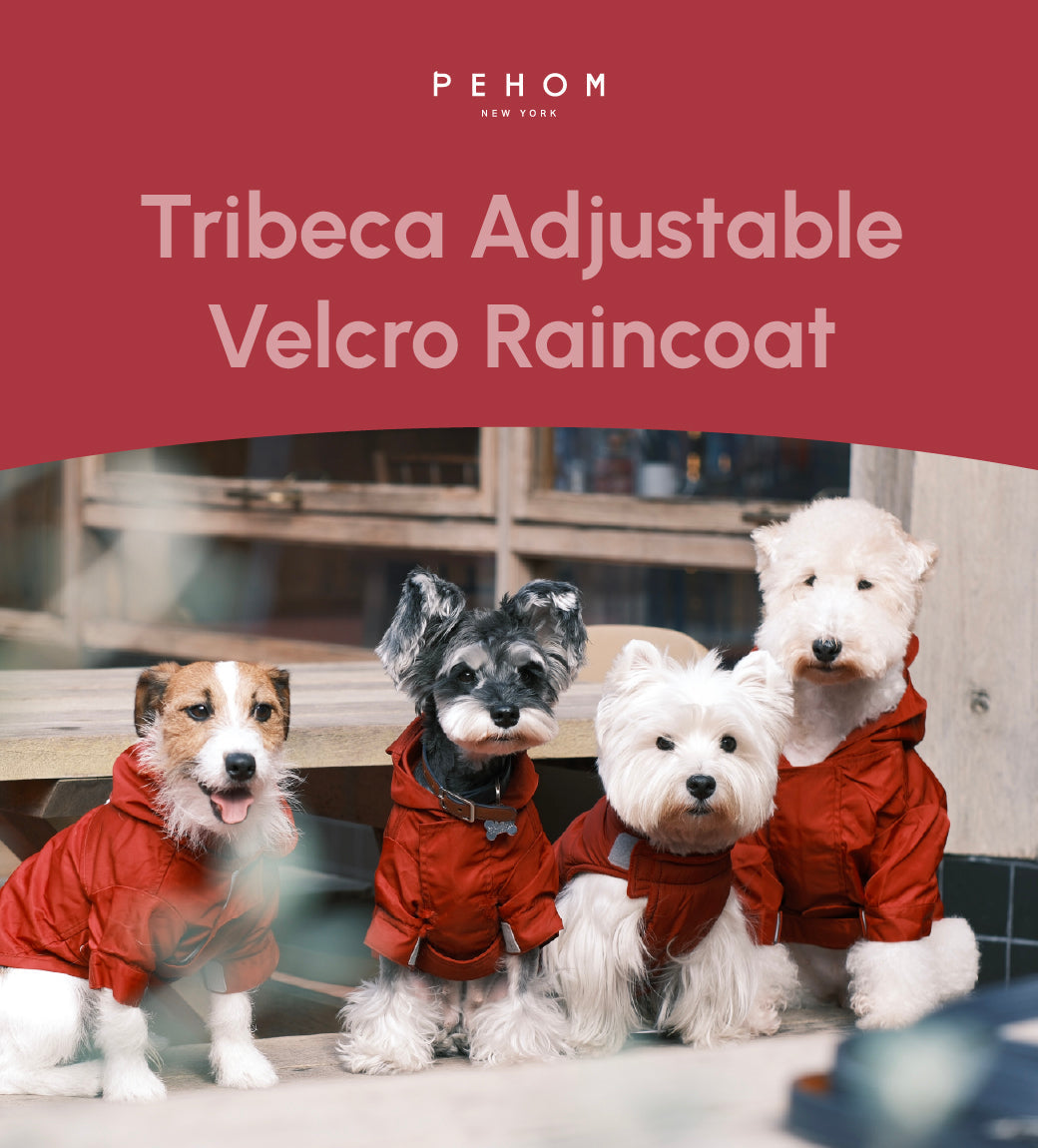 Tribeca Adjustable Velcro Dog Raincoat – Burgundy | Waterproof Hooded Rain Jacket for Dogs