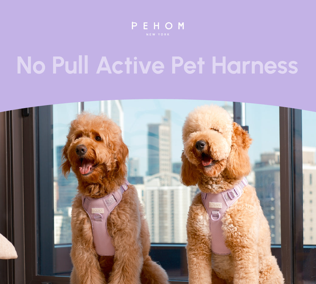 No Pull Active Pet Harness - Mint Purple | Breathable, Adjustable & Secure Control