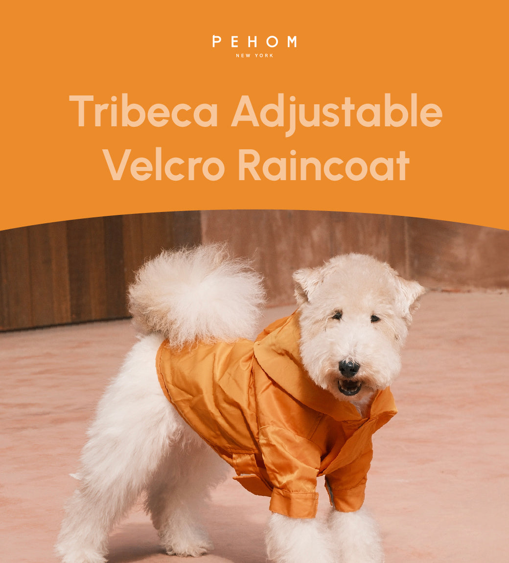 Tribeca Adjustable Velcro Dog Raincoat – Egg Yolk Yellow | Waterproof, Easy-On Design