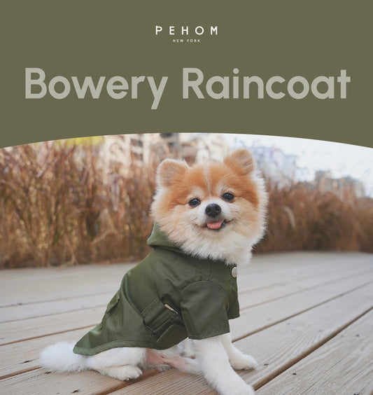 Bowery Raincoat - Green | Waterproof Dog Jacket with Adjustable Fit