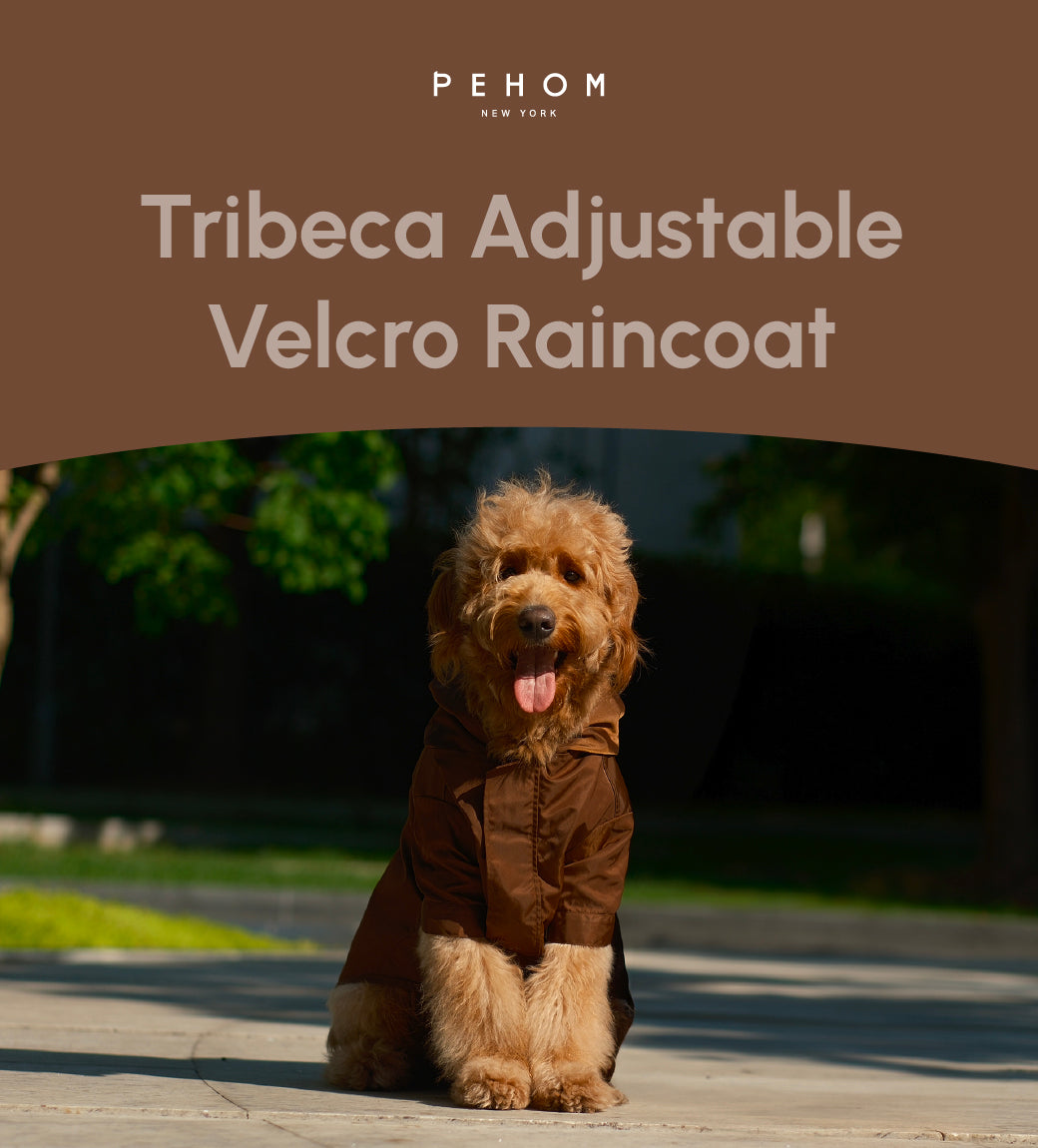 Tribeca Adjustable Velcro Dog Raincoat – Choco | Waterproof, Easy-Fit Pet Jacket