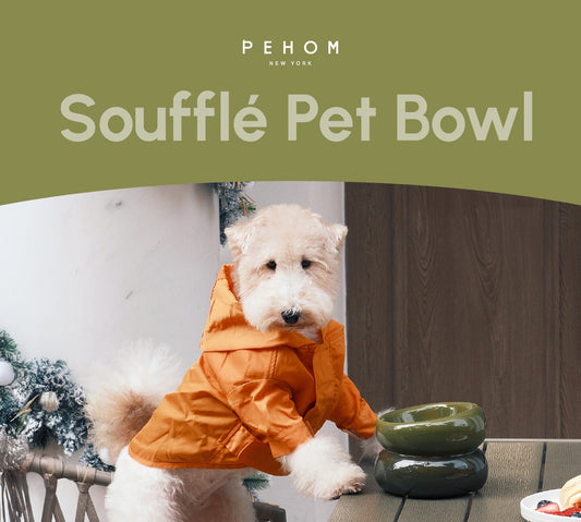 Soufflé Elevated Pet Bowl – Avocado Green | Ergonomic, Anti-Spill Design for Cats & Small Dogs