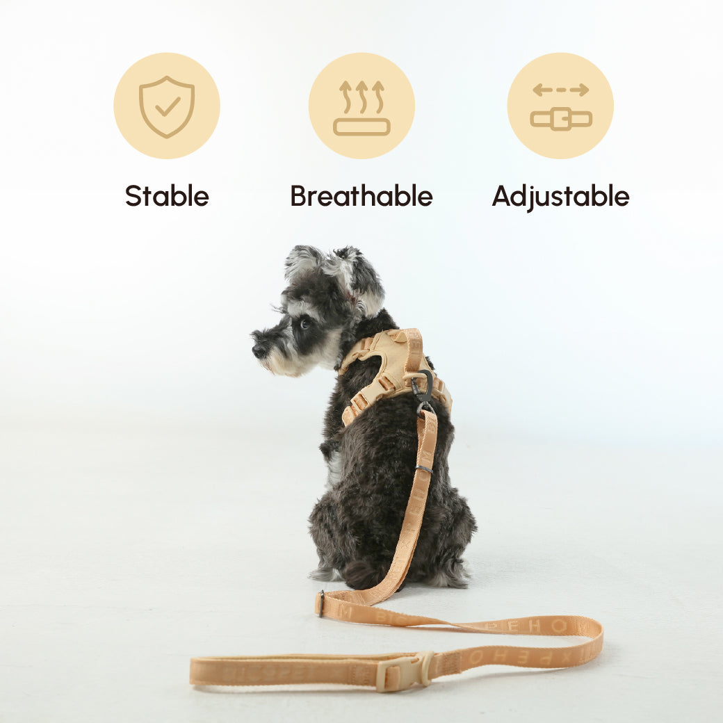 Padded Active Pet Leash – Apricot | Durable, Comfortable & Secure Everyday Leash