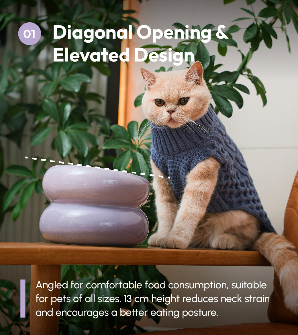 Soufflé Pet Bowl – Purple | Elevated Ergonomic Bowl for Cats & Small Dogs