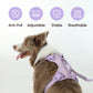 No Pull Active Pet Harness - Mint Purple | Breathable, Adjustable & Secure Control