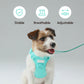 Padded Active Pet Leash – Mint Green | Durable, Comfortable & Secure