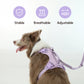 Padded Active Pet Leash – Mint Purple | Durable, Comfortable & Secure Dog Leash