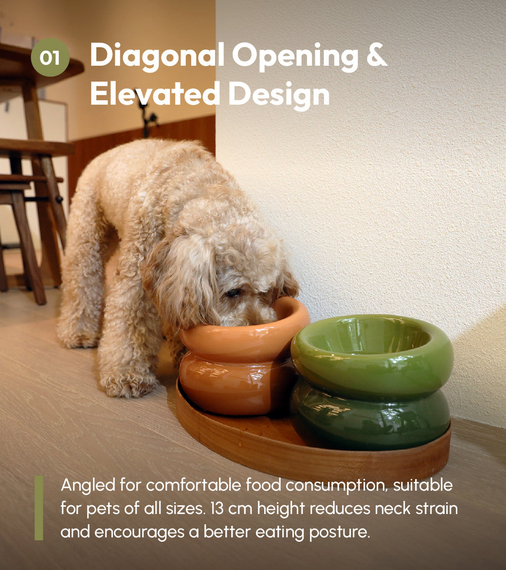 Soufflé Elevated Pet Bowl – Avocado Green | Ergonomic, Anti-Spill Design for Cats & Small Dogs