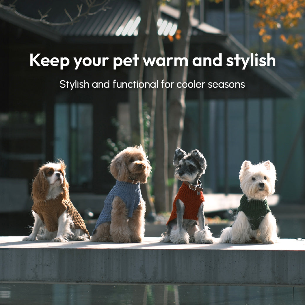 Pet Sweater Vest – Ice Blue | Cozy Knit Warmth with Breathable Comfort