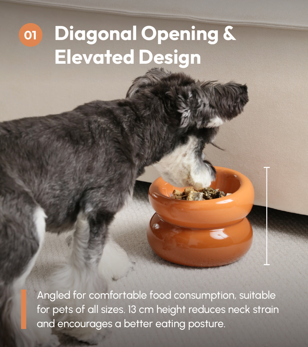 Soufflé Pet Bowl – Amber Orange | Elevated Ergonomic Bowl for Cats & Small Dogs