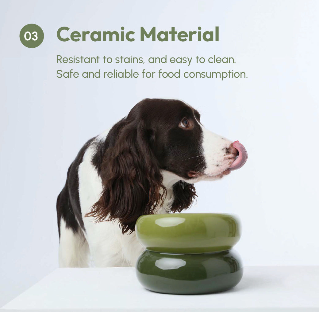 Soufflé Elevated Pet Bowl – Avocado Green | Ergonomic, Anti-Spill Design for Cats & Small Dogs