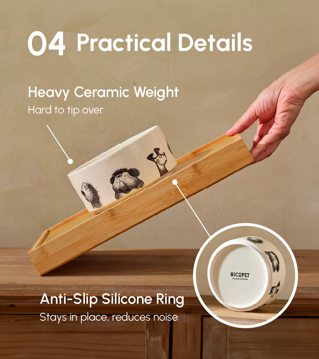 Derpy Bowl™ Ceramic Pet Bowl with Non-Slip Silicone Base – Durable, Safe & Stylish Feeding Bowl for Dogs and Cats