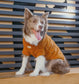 Eskimo Fuzzy Sweater - Orange | Warm, Breathable & Stylish Winter Dog Sweater