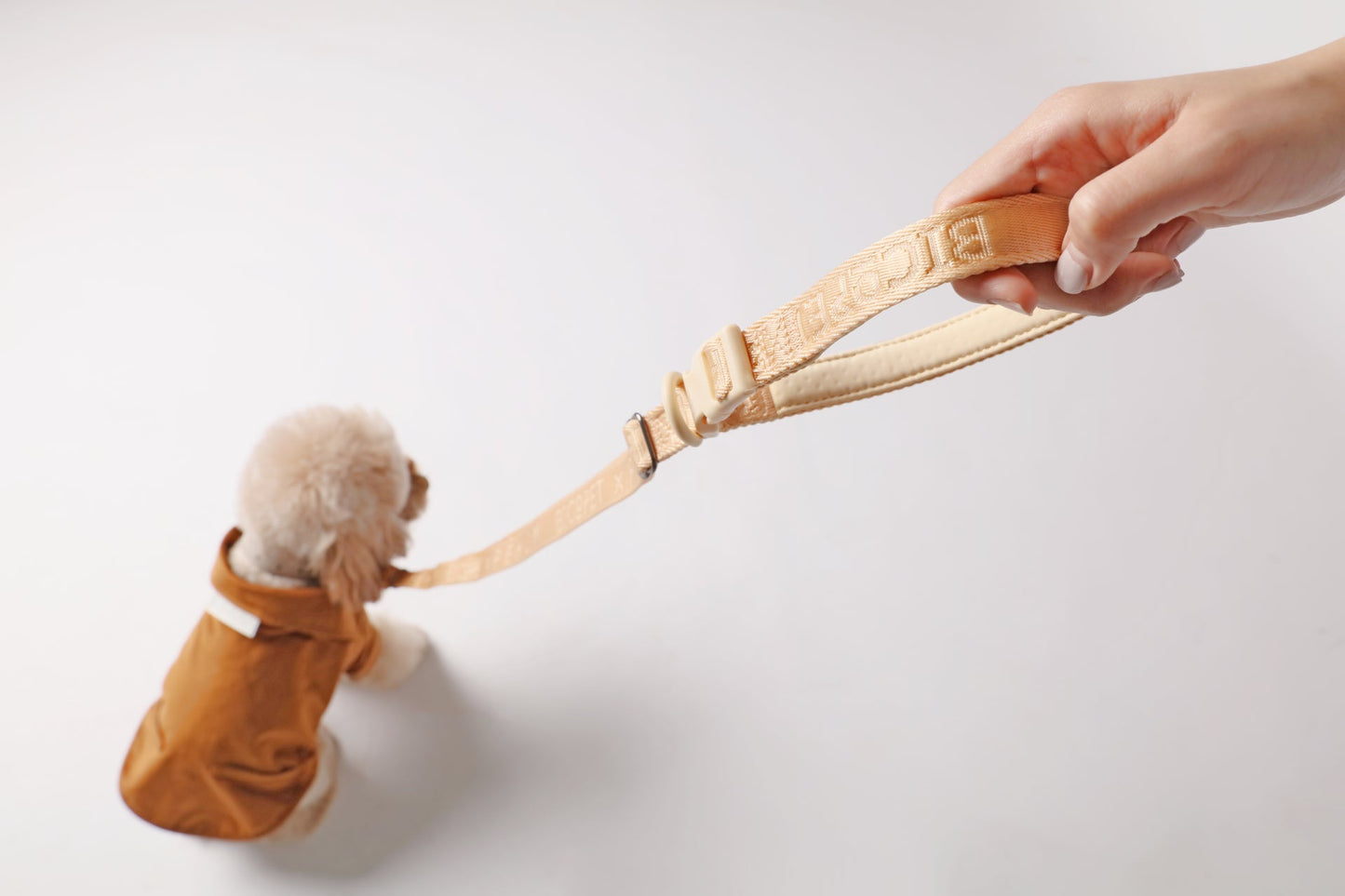 Padded Active Pet Leash – Apricot | Durable, Comfortable & Secure Everyday Leash