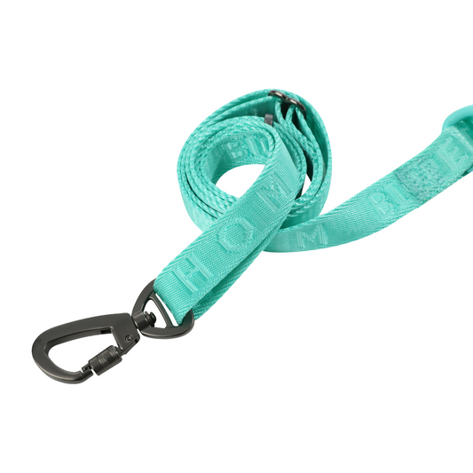 Teal dog leash with a black clip on a white background