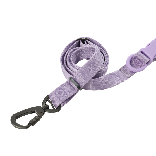Purple dog leash with a black clip on a white background