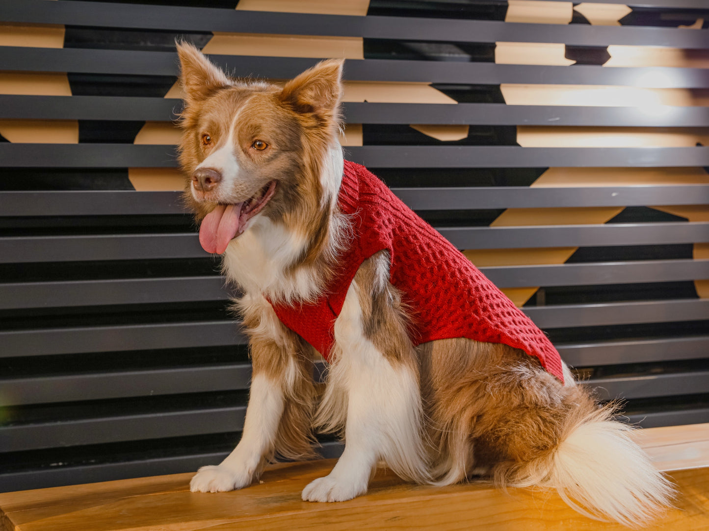 Pet Sweater Vest – Red | Cozy Knit Warmth for Dogs & Cats