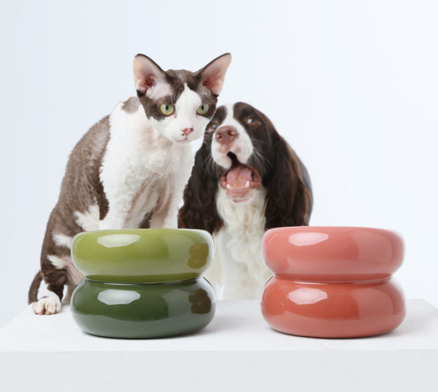 Soufflé Elevated Pet Bowl – Avocado Green | Ergonomic, Anti-Spill Design for Cats & Small Dogs