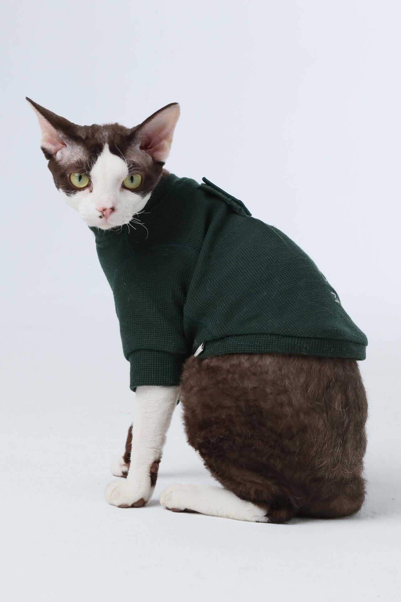 Embroidery Waffle T-Shirt for Dogs - Green | Reflective Safety Print, Soft Plaid Texture, Everyday Comfort