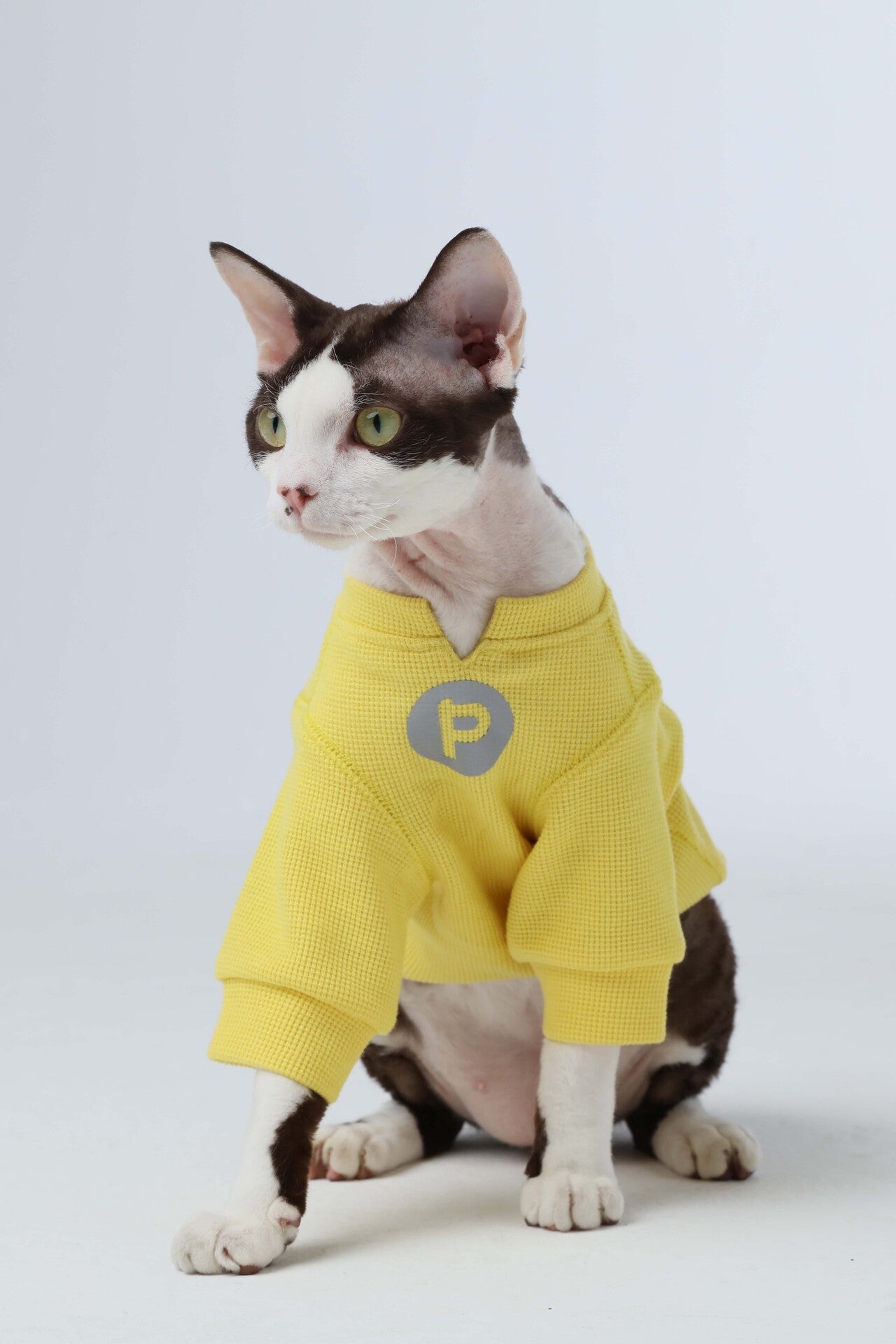 Embroidery Waffle T-Shirt for Dogs - Yellow | Reflective Safety Print, Soft Plaid Texture, Everyday Comfort