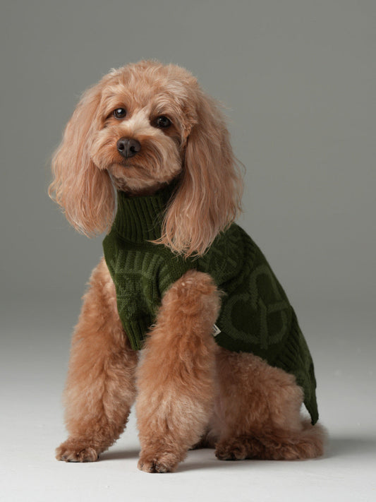 Dog wearing a green sweater on a gray background