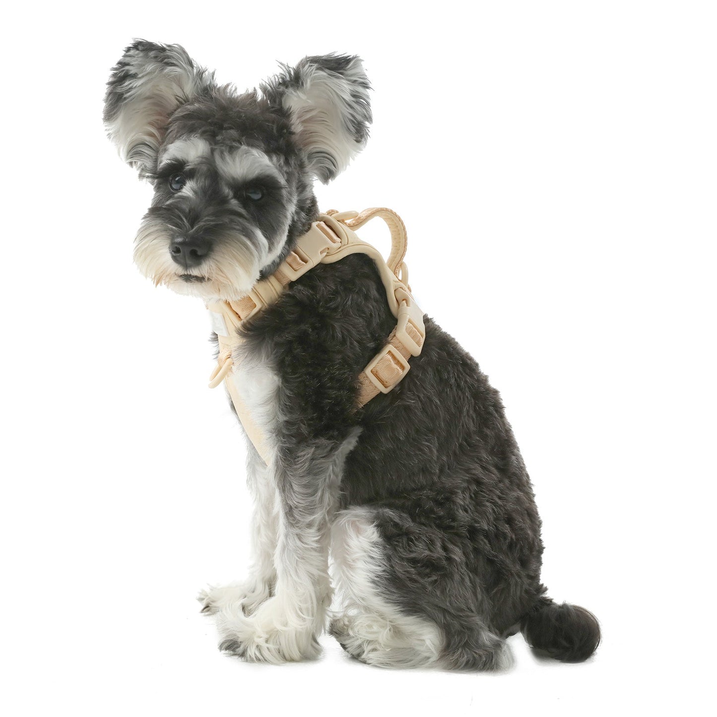 No Pull Active Pet Harness – Apricot | Adjustable, Breathable & Secure Control Harness