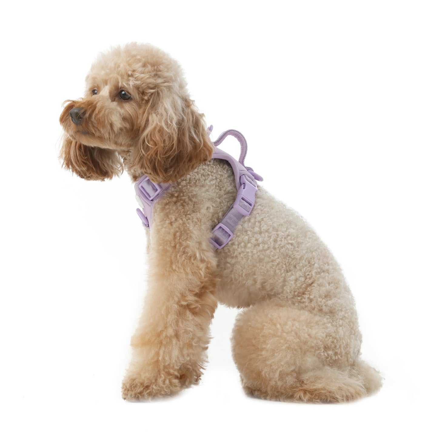 No Pull Active Pet Harness - Mint Purple | Breathable, Adjustable & Secure Control