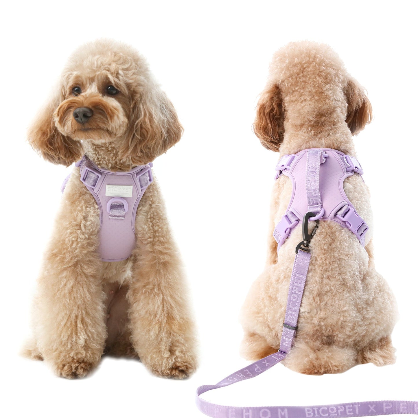 No Pull Active Pet Harness - Mint Purple | Breathable, Adjustable & Secure Control