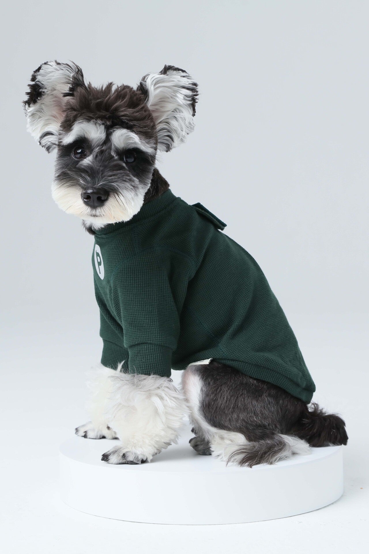 Embroidery Waffle T-Shirt for Dogs - Green | Reflective Safety Print, Soft Plaid Texture, Everyday Comfort